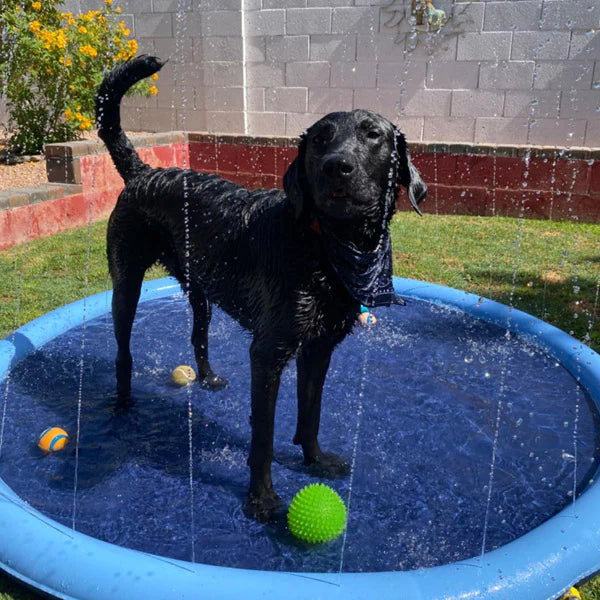 GlowGloo Sprinkler Pool